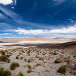 Andenwelt Boliviens