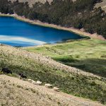 Isla del Sol/Bolivien