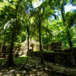Palenque, Ruine im Dschungel