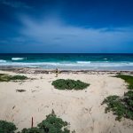 Strand mit Schildkröten-Nestern