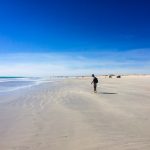 Jung am Cable Beach