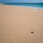 Strand bei Exmouth