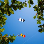 Wie bunte Papageien fliegen sie am Himmel