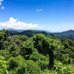 Auf dem Weg nach Da Lat