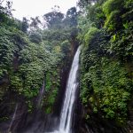 Red Coral Waterfall