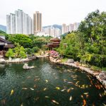 Nam Lian Garden, ein Idyll inmitten der Hochhäuser