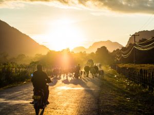 Was in Vang Vieng so alles auf den Straßen unterwegs ist zum Sonnenuntergang