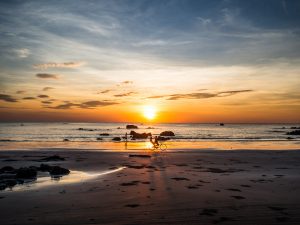 Fahrradfahrer im Sonnenuntergang