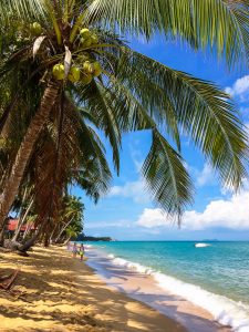 Paradies auf Koh Samui