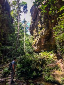 Jung in den Blue Mountains