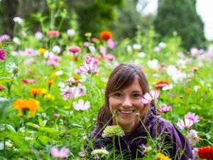 Eine Blumenwiese im Botanical Garden Sydney