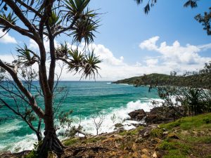 Coastal Walk bei Noosa Heads