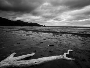 Kurz vor dem Sturm in Cape Hillsborough