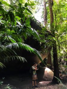 Findlinge im Daintree Rainforest