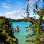 Kleine Inseln im Abel Tasman Nationalpark