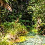 Glasklarer See bei den Redwoods