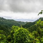 Ausblick von Rarotongas Hügeln