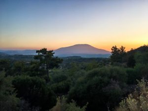 Hinter den Olivenhainen geht die Sonne unter