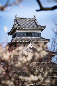 Matsumoto Castle