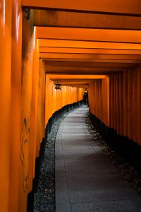 Torii in Kyoto